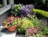 dscn0295