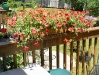 dscn0319